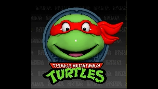 Teenage Mutant Ninja Turtles TV Series