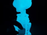 Skeleton Cat 🌟 / Bobblehead-0