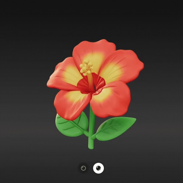 Hibiscus flower