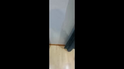 Classic Yoyo-1