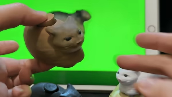 Oiia Oiia Kedi meme döndürücü