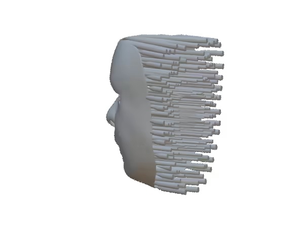 Face Mass-4