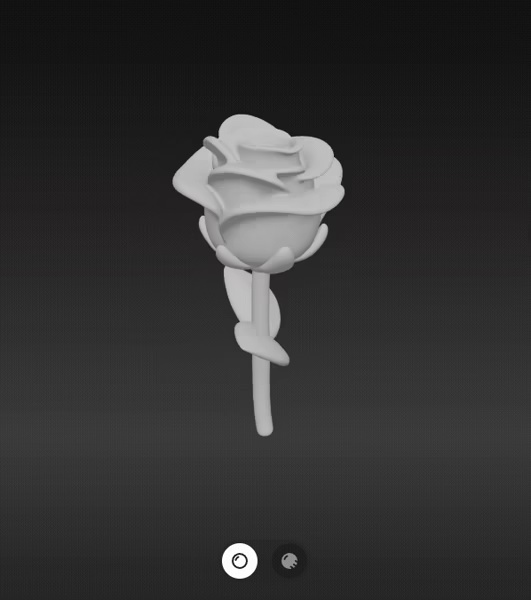 Rose flower-1