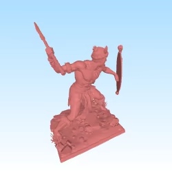 Warrior zulu / guerrier zoulou