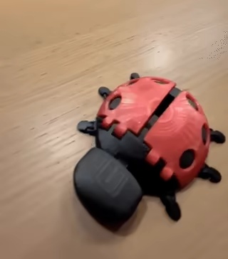 articulated ladybug-0