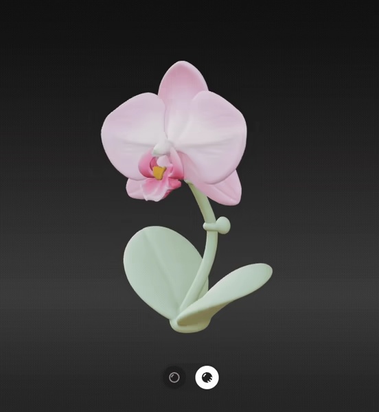 Orchids flower-0