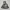 Chewbacca bust Starwars