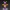 Spyro the Dragon