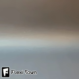 Flexi Print-in-Place Splinter-1