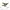 Hawker Hurricane