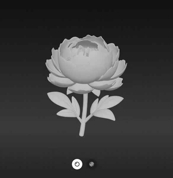 Peony flower-1