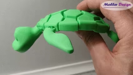 Flexible Schildkröte Zappelphilipp