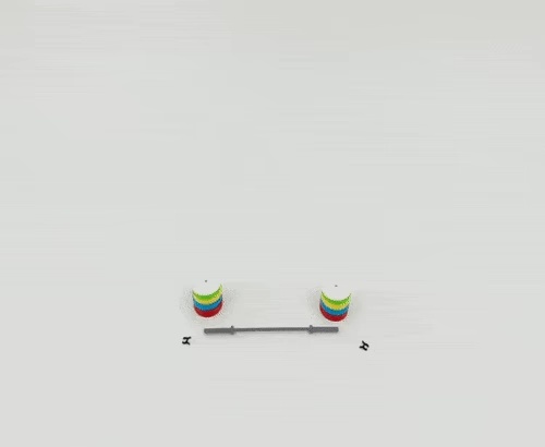 PANCA, RACK PER SQUAT E SET DI PESI OLIMPIONICI