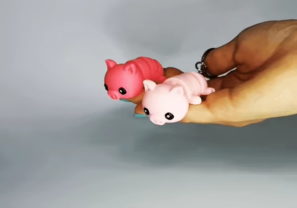Cute Flexi Pets Pig (Keychain & Magnet)-2