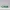 Text Flip - C21H30O2 (THC)