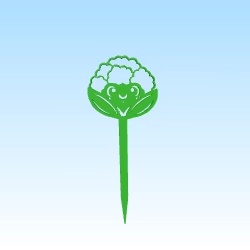 seedling mark Cauliflower/ etiquette semis choux fleur