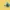 Pokeball 360 Wynaut
