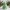 minimal christmas Tree Candle Mold