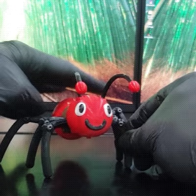 🐜🐜🐜 The Articulated Ant🐜🐜🐜-1