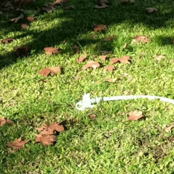 SPRINKLER-1