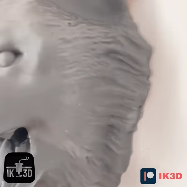WOLF WALL MOUNTED - HEADSET HOLDER-0