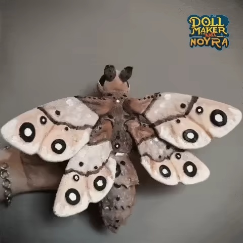 [Exclusive]Classical moth-0