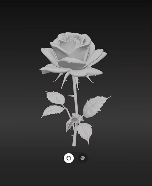 Magnifique Rose-1