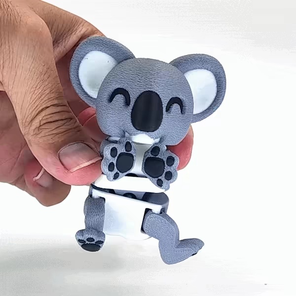 Magnetic Koala-7