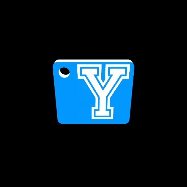 Y keychain-5