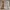 Cute Elf Boy STL File – Fantasy Character for Decoration