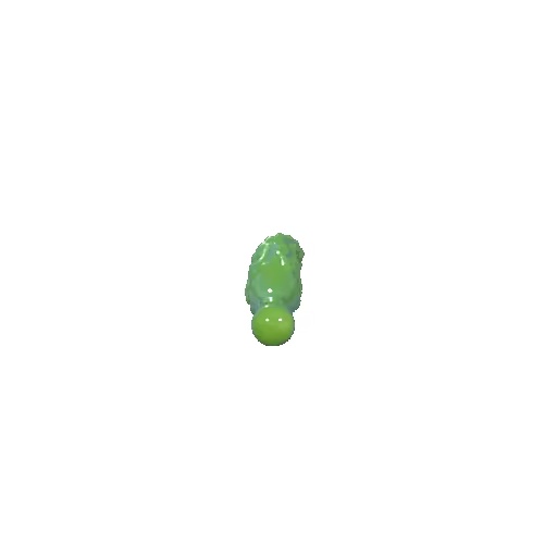 Consolo Emerald Bloom-0