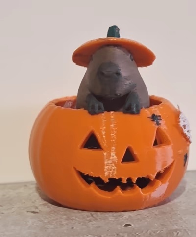Capybara pumpking halloween