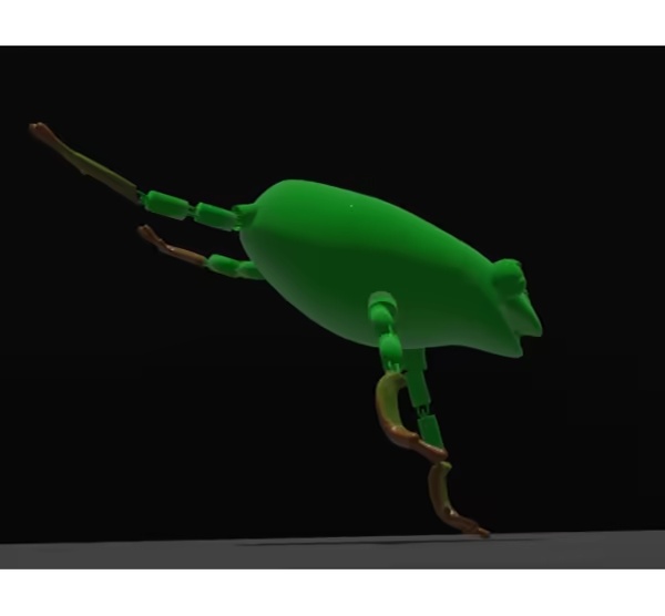 flexi Articulated- Frog-0