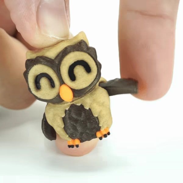 小さなフクロウ