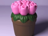 Potted Tulip-0