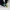 Pack de Clickers de Halloween - Fidget Clicker