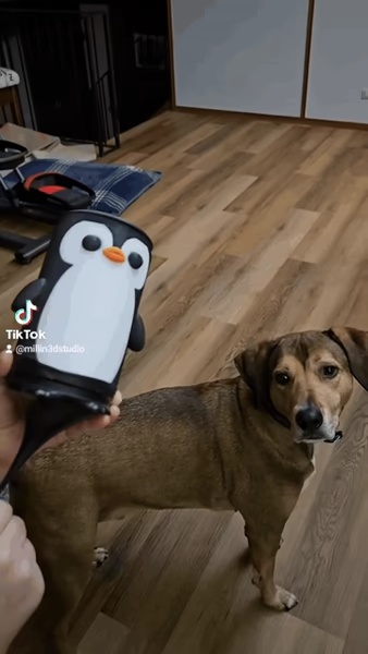 Lanzadores de Malvaviscos con Globo de Muñeco de Nieve y Pingüino / Lanzadores de Golosinas para Perros