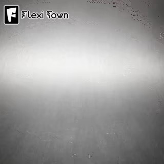 Flexi Print-in-Place Pelican-1