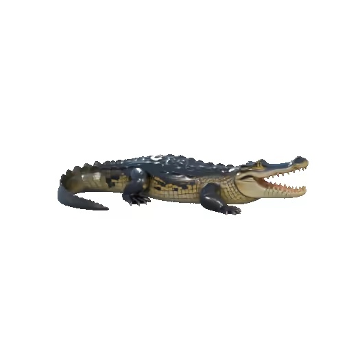 Crocodile-1