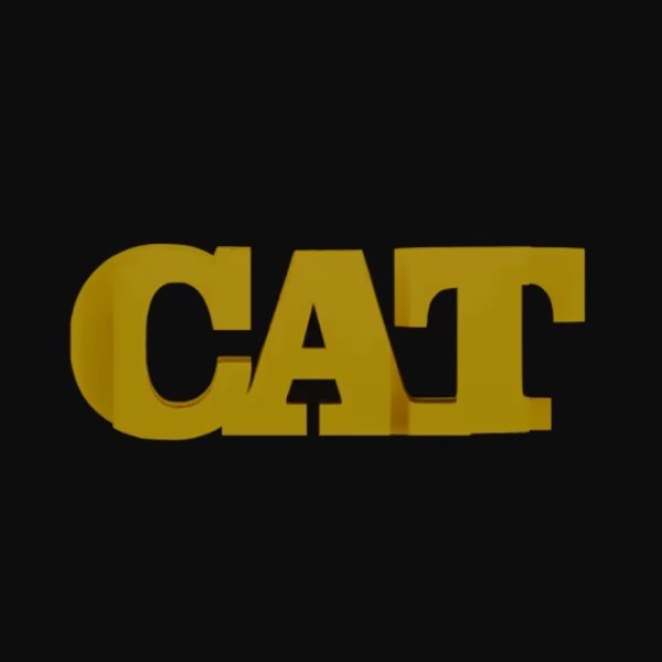 Cat - 3D TextFlip Optical Illusion Sculpture