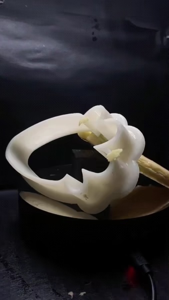 EASTER COOKIE CUTTERS-0