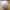 クリケットボール シークレットストッシャー
