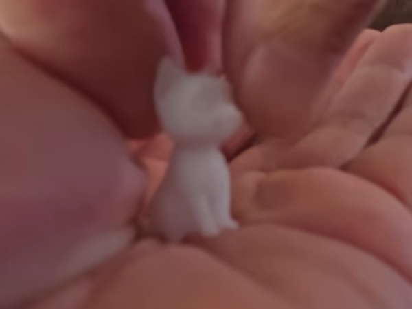 Cute Kitten #1-1