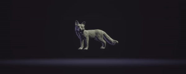 Red fox-1