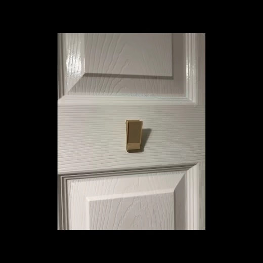 Foldable Space Saving Multipurpose 3D Printed Hook-0