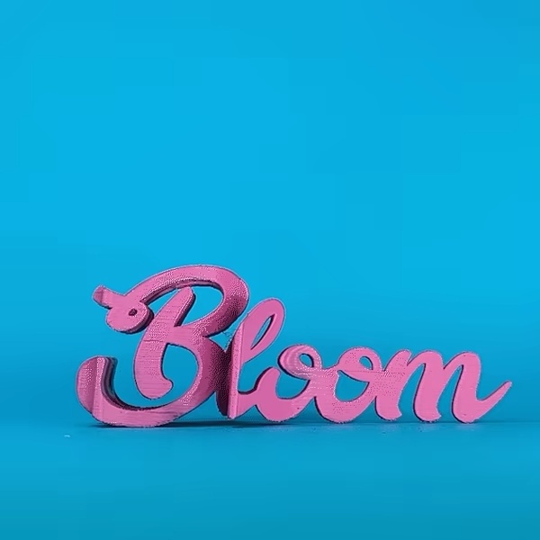 Text Flip - Bloom🌷-0
