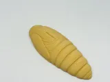 Silkworm Pupa-2