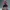 Star-Lord (Peter Quill) – Diorama dei Guardiani della Galassia
