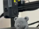 Hi bear 🐻-1