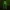 creeper bookmark